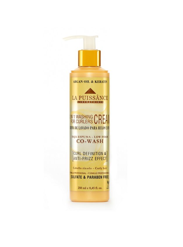 LA PUISSANCE CURL DEFINITION 2 EN 1 CO-WASH 250ml