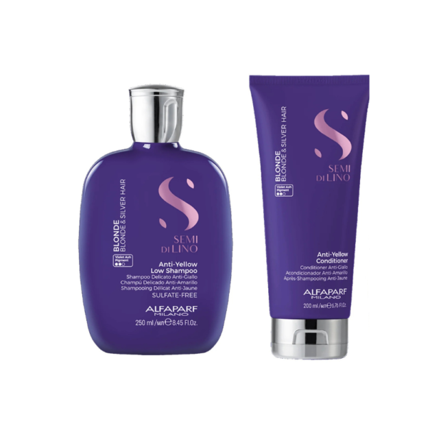 ALFAPARF SEMI DI LINO BLONDE & SILVER HAIR